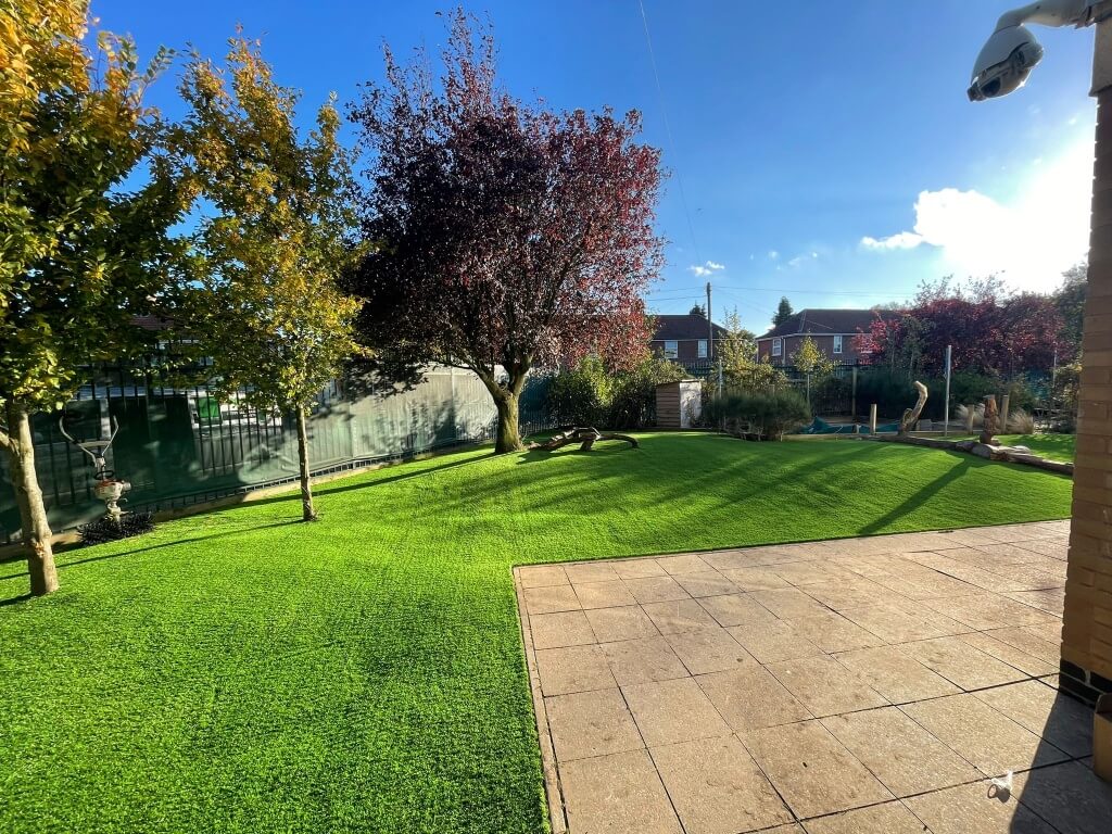 Low Maintenance Lawn for Homes