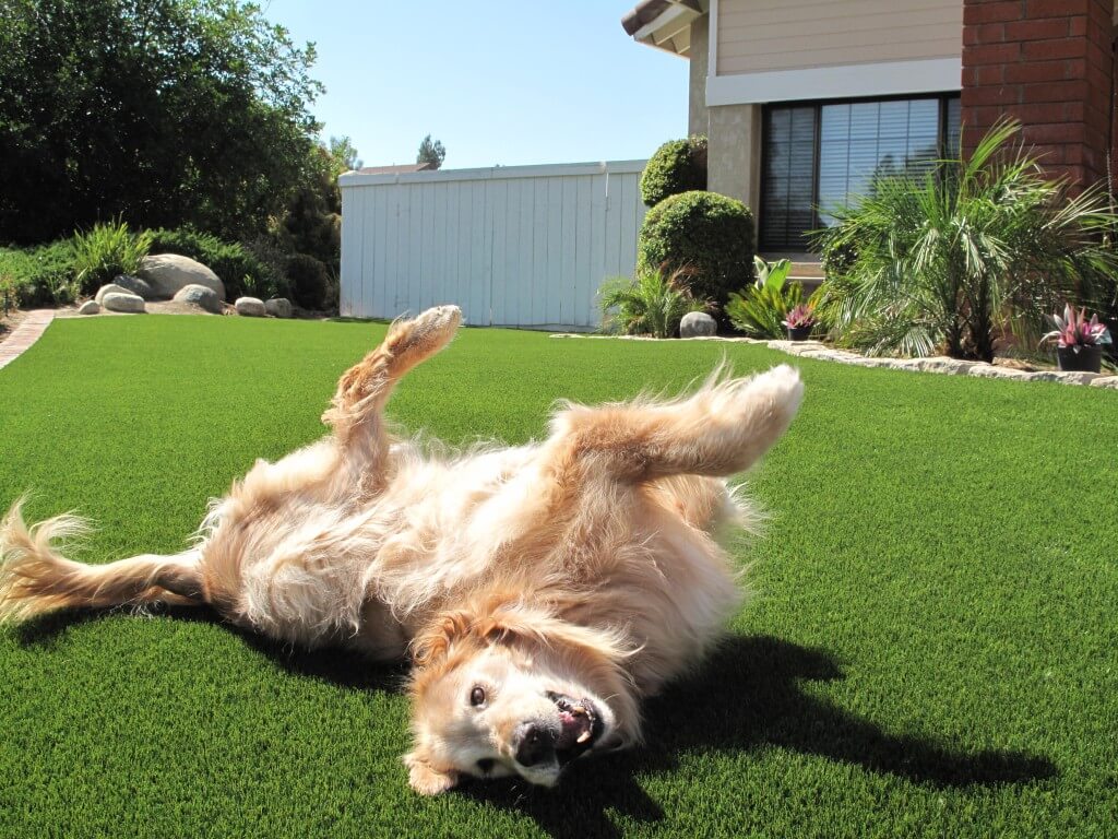 Turf for Niche Projects - Specialized artificial grass applications